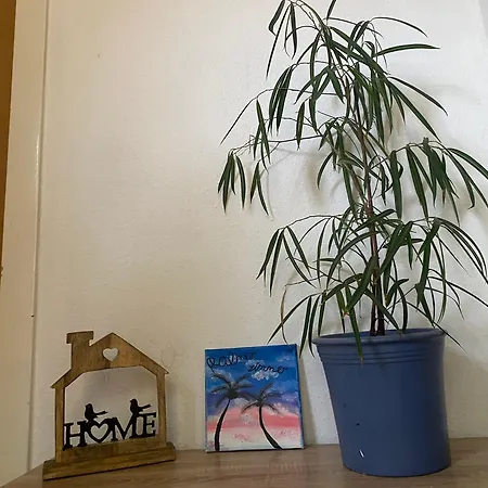 Palms Zimmer Frechen Buitenkant foto